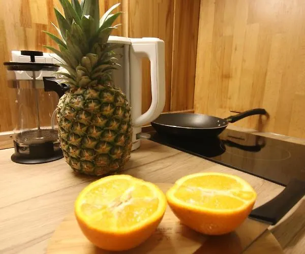 Apartment Moderne 2-3 Wohnungen, Ideal Fuer Geschaeftsreisende Und Monteure In Essen